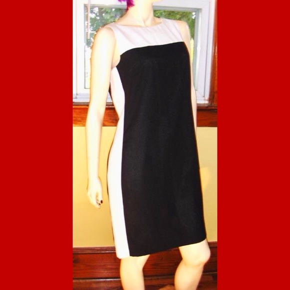 🌸VINTAGE DRESSES🌸 - Picture 11 of 16